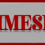 PrimeSexDoll