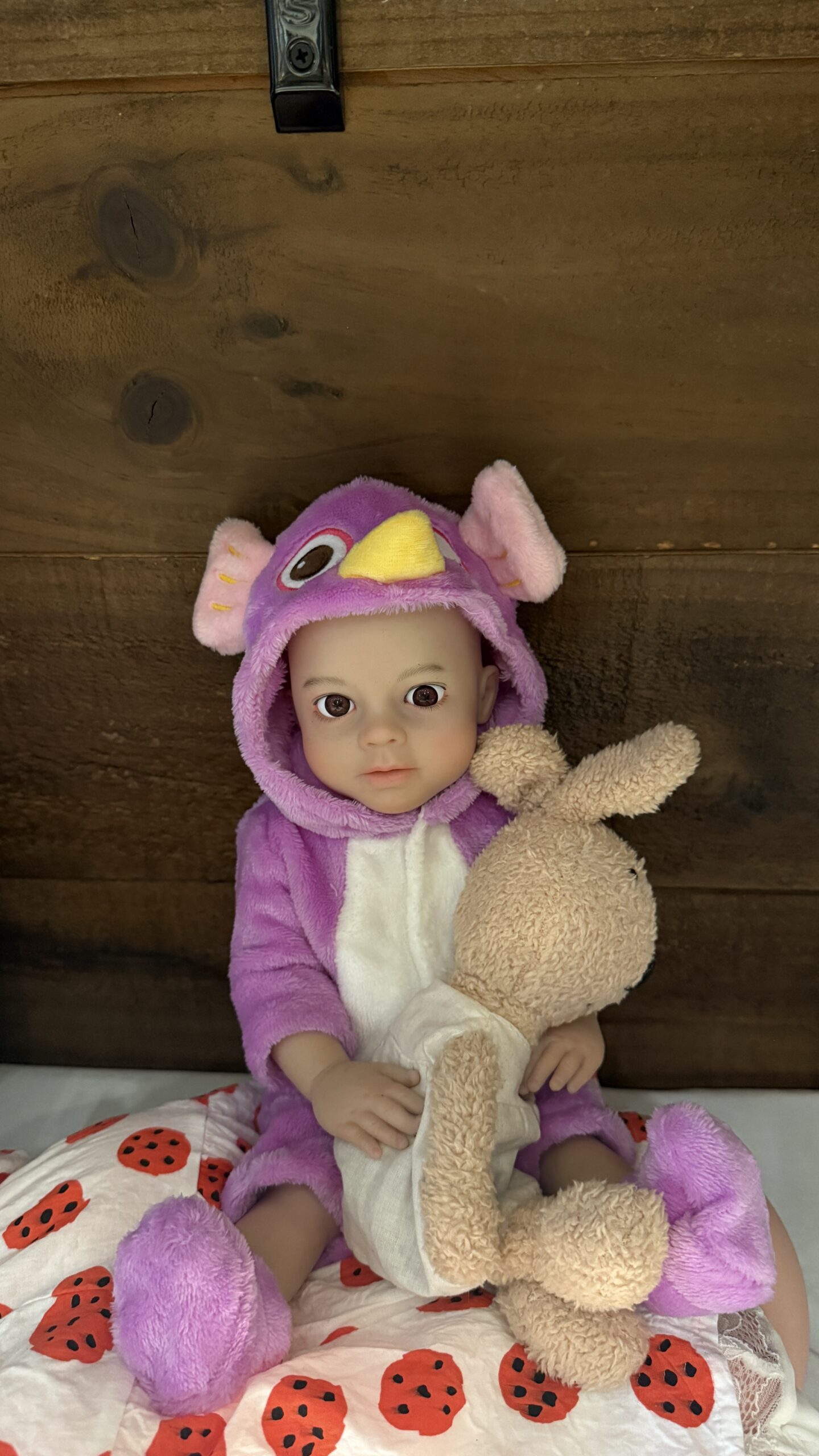 KD人形美術館現貨｜CAT doll 42cm矽膠娃娃
